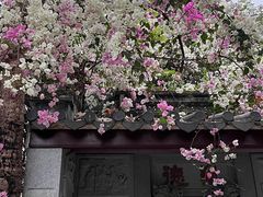 -深圳国际园林花卉博览园