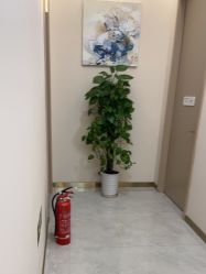 -禾美嘉医疗美容