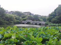 -金山公园