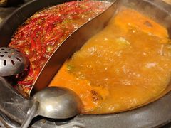 -蜀大侠火锅(建设路第五大道店)