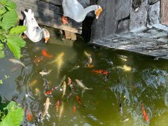 -苏州文庙(姑苏区)