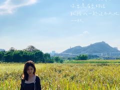 -光明小镇欢乐田园
