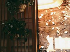 -管氏翅吧(国展店)