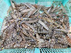 -海儀美食楼(湾仔海鲜街店)