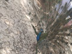 -燕塞湖鸟语林景区