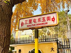 -三里屯东五街银杏大道