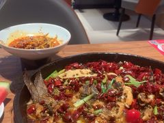 -老板恋上鱼(恒隆广场店)