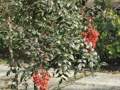 -上海望仙安息园