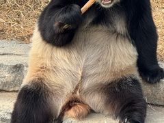 -陈大锅·岳阳鱼馆·地道岳阳菜(美食街店)