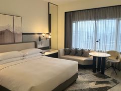 -新加坡乌节希尔顿酒店 (SG Clean)