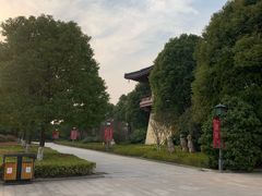 -溱湖国家湿地公园