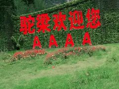 -驼梁风景区