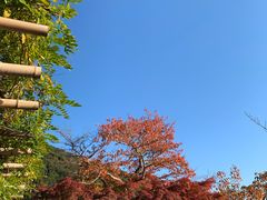 -有栖山 清光院 清水寺