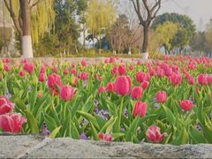 -东南大学(九龙湖校区)