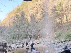 -四明山国家森林公园