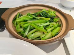 -阳光天地