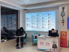 -北京观赏动物医院·24小时大型综合·猫专科·异宠专科