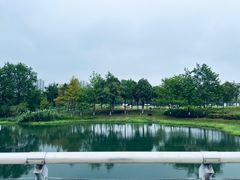 -洋湖国家湿地公园