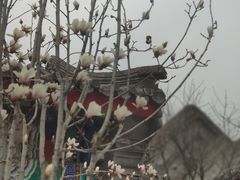 -五道营胡同