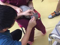 -芭比堂动物医院·犬猫全科·异宠专科(雁塔分院)
