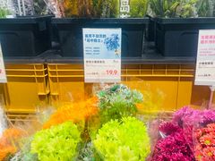 -鹿岛生活(熙地港店)