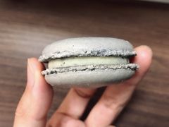 白松露马卡龙-TIENSTIENS将将(三里屯店)