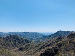 -大岭沟猕猴桃谷风景区