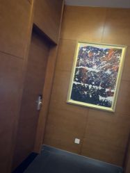 -苏亚医美·高端注射明星整形机构