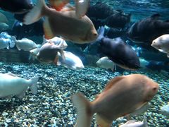 -成都浩海立方海洋公园