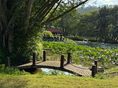 -东南花都花博园