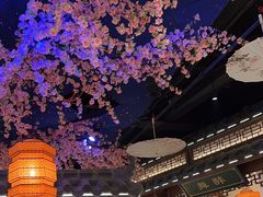 -荷塘秋月·本帮江浙菜(国权路店)