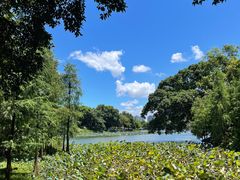 -东山湖公园
