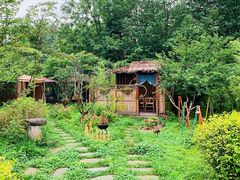 -桤木河湿地公园