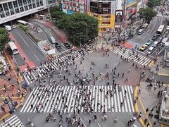 -涩谷全向十字路口