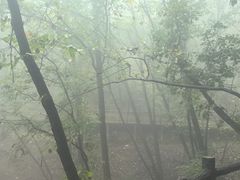 -栾川竹海野生动物园