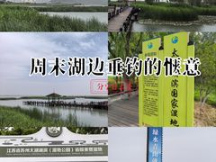-苏州太湖湖滨国家湿地公园