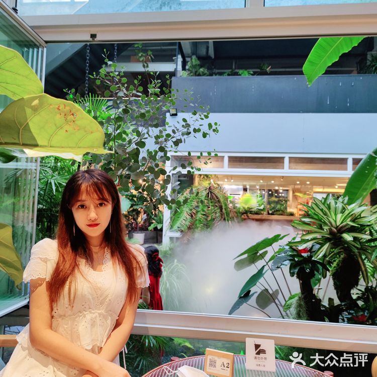 厦门植物氧吧|华美空间藏着一处热带雨林下午茶