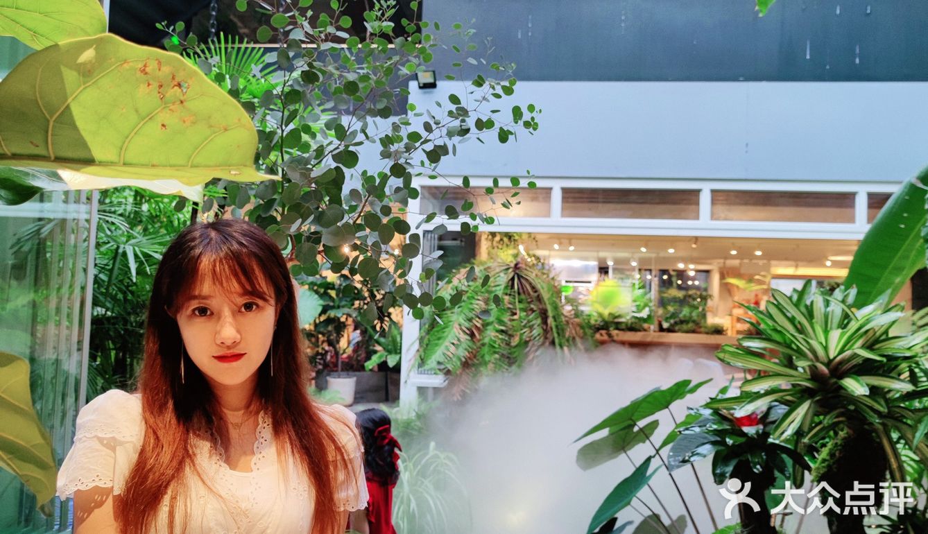 厦门植物氧吧|华美空间藏着一处热带雨林下午茶