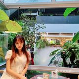 厦门植物氧吧|华美空间藏着一处热带雨林下午茶