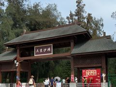 -大京沙滩