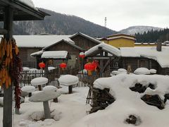 -亚布力新体委滑雪场