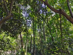 -火炉山森林公园