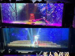 -顺德南宏海立方海洋公园