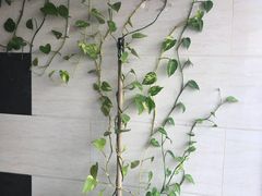 -北京楼中国餐厅Beijing Restaurant