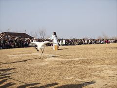 -盐城丹顶鹤湿地生态旅游区