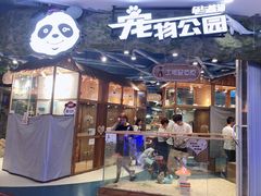 -龟与熊猫宠物公园(南坪店)
