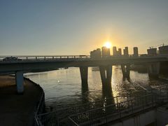 -五缘湾湿地公园