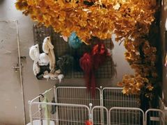 -怪谈恐怖真人实景密室逃脱(百隆广场A座店)
