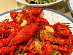-杨氏青龙虾·羊蝎子(托乐嘉店)