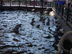 -华夏文旅海洋公园